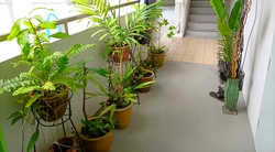 Blk 350 Tampines Street 33 (Tampines), HDB 5 Rooms #382774301